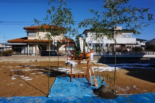 1517900248973.jpg