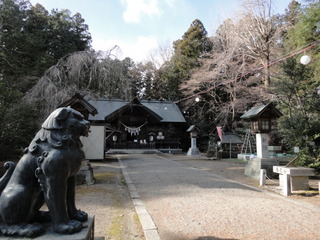 DSC00177.JPG