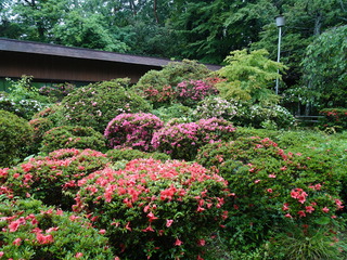 DSC00283.JPG