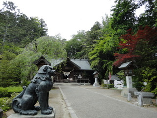 DSC01546.JPG
