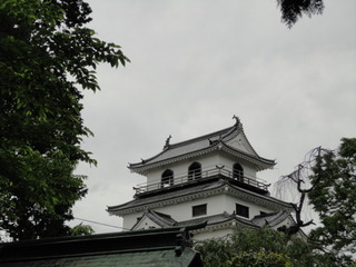 DSC01549.JPG