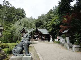 DSC01752.JPG