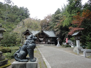 DSC02303.JPG