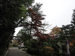 DSC02306.JPG