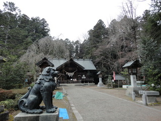 DSC02792.JPG