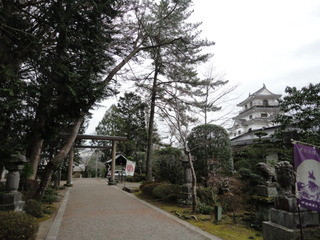 DSC02793.JPG