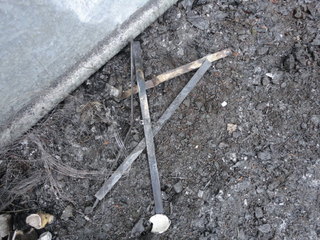 DSC02898.JPG