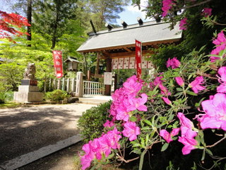 DSC02968.JPG