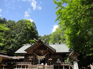 DSC02976.JPG