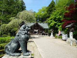DSC03012.JPG