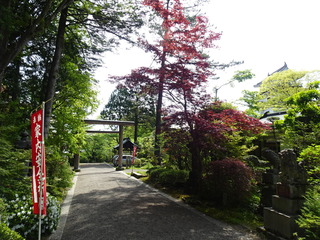 DSC03013.JPG