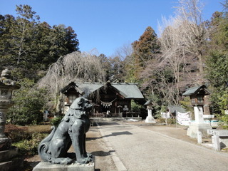 DSC03013.JPG