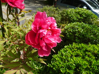 DSC03017.JPG