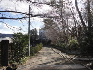 DSC03017.JPG