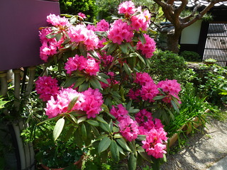 DSC03021.JPG