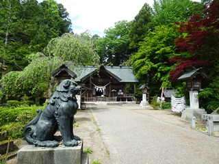 DSC03229.JPG