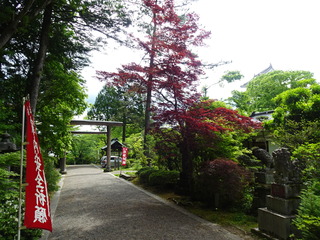 DSC03232.JPG