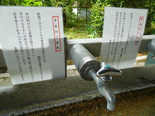 DSC03236.JPG
