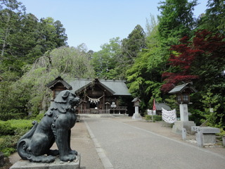 DSC03919.JPG