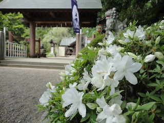 DSC03921.JPG