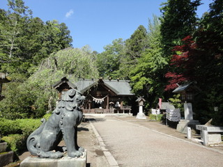 DSC03952.JPG