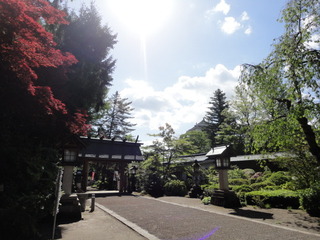 DSC03953.JPG