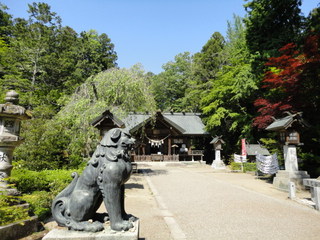DSC03963.JPG