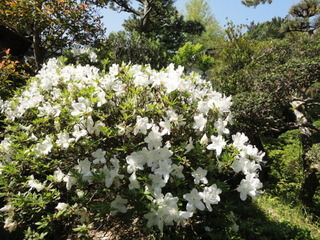 DSC03965.JPG