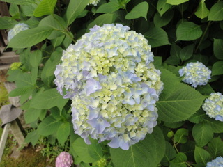 DSC04039.JPG