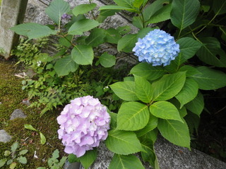 DSC04040.JPG