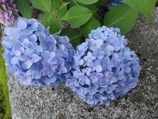 DSC04096.JPG