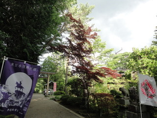 DSC04101.JPG