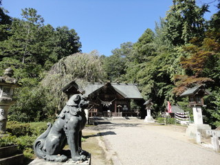 DSC04458.JPG
