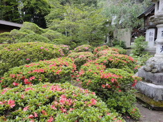DSC04641.JPG