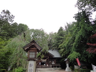 DSC04642.JPG