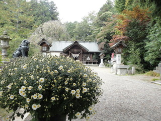 DSC04650.JPG