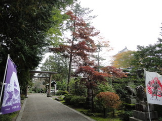 DSC04652.JPG