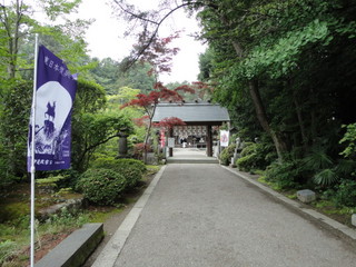 DSC04672.JPG
