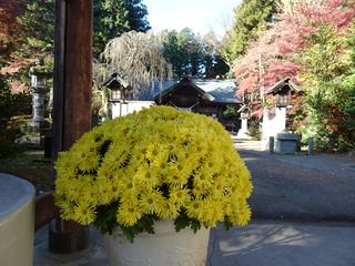 DSC04909.JPG
