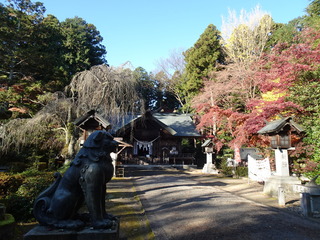 DSC04910.JPG