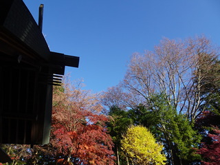 DSC04913.JPG