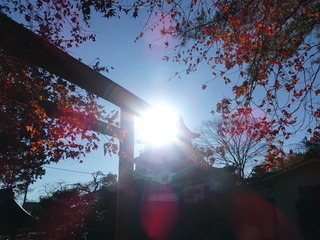 DSC04915.JPG