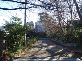 DSC04917.JPG