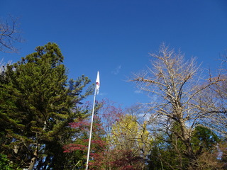 DSC04919.JPG