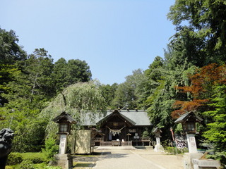 DSC04934.JPG