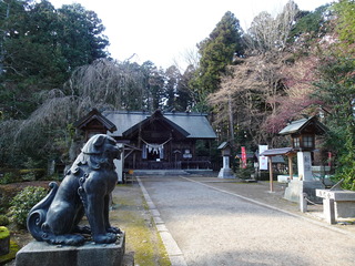 DSC05140.JPG