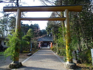 DSC05143.JPG