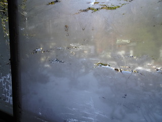 DSC05234.JPG