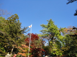 DSC09640.JPG