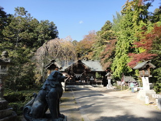 DSC09643.JPG